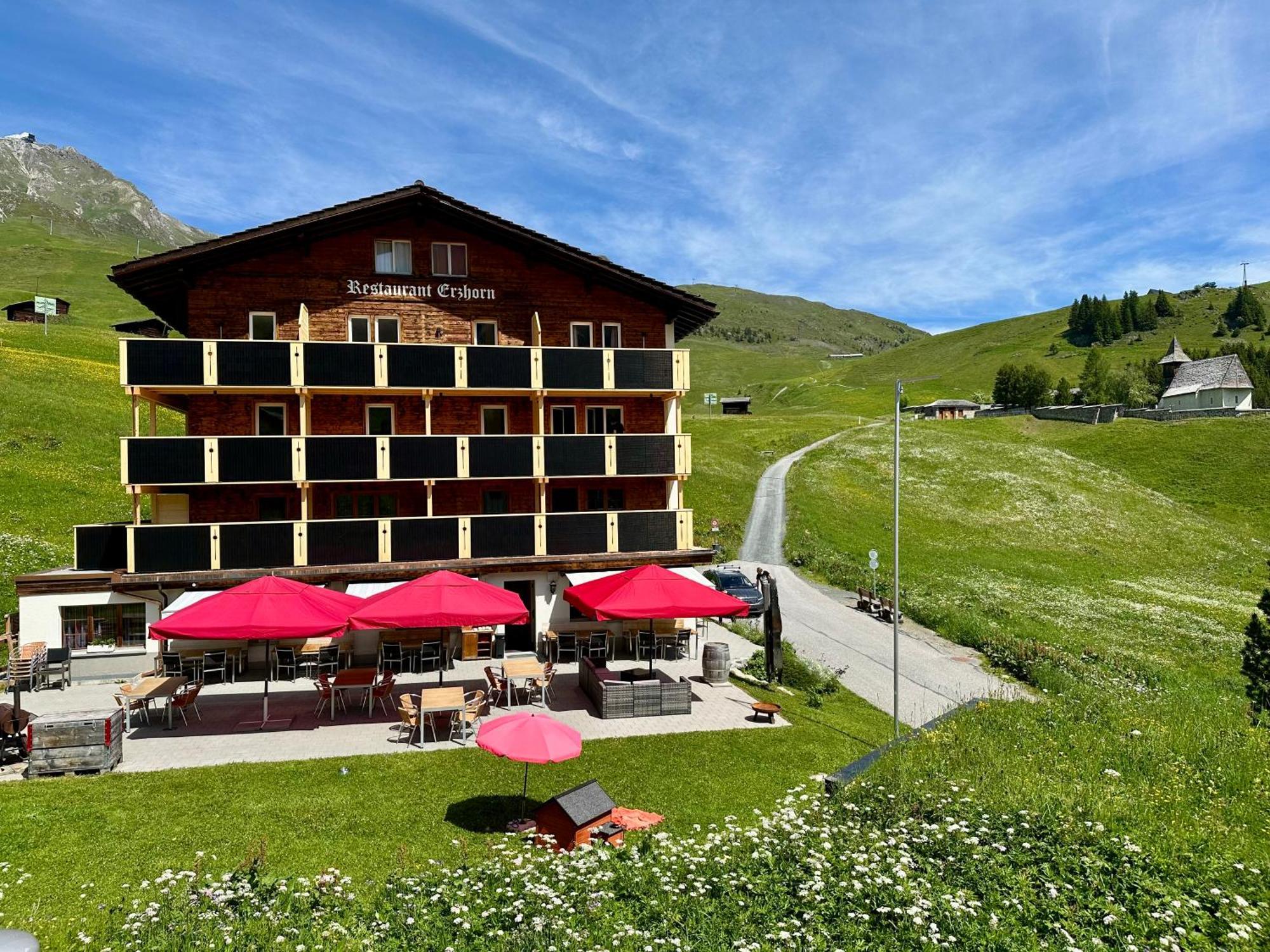 Hotel Erzhorn 2*